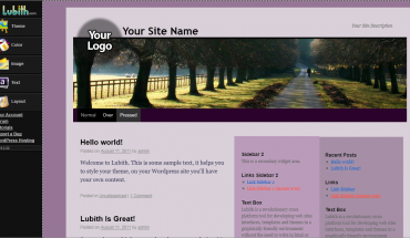 Design Wordpress theme without any knowledge of HTML or CSS - Lubith.com