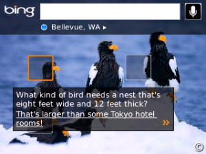 Bing for BlackBerry Playbook
